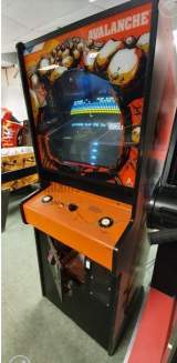 Avalanche the Arcade Video game