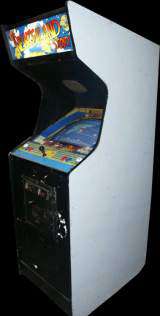 The New Zealand Story the Arcade Video game