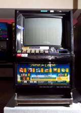 Horses for Courses the Video Slot Machine