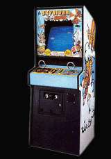Skydiver the Arcade Video game