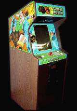 Triple Punch the Arcade Video game