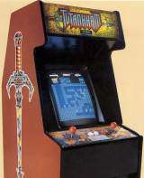 Tutankham the Arcade Video game