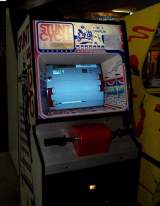 Stunt Cycle the Arcade Video game