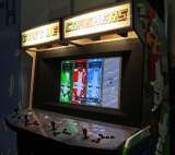 Castle Crashers the Arcade Video game
