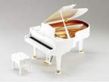 Grand Pianist the Musical Instrument