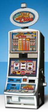 Double Wild & Loose the Slot Machine
