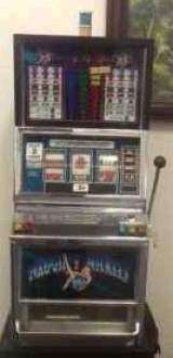 Naughty Nickels the Slot Machine