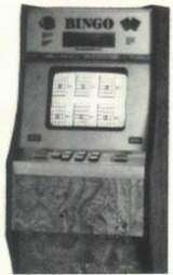 Bingo the Arcade Video game