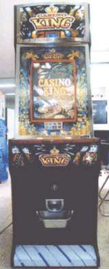 Casino King the Medal video game