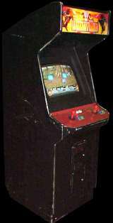 Dynasty Wars [B-Board 88622B-3] the Arcade Video game