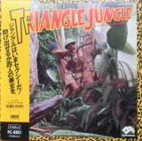 Goodies for Triangle Jungle [Model 2012801]