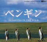 Goodies for Penguins in the Wild