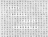 Goodies for Word Search Puzzle
