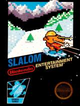 Goodies for Slalom [Model NES-SL-USA]