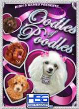 Goodies for Oodles of Poodles