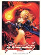 Goodies for Brandish Renewal [Model NW10041040]