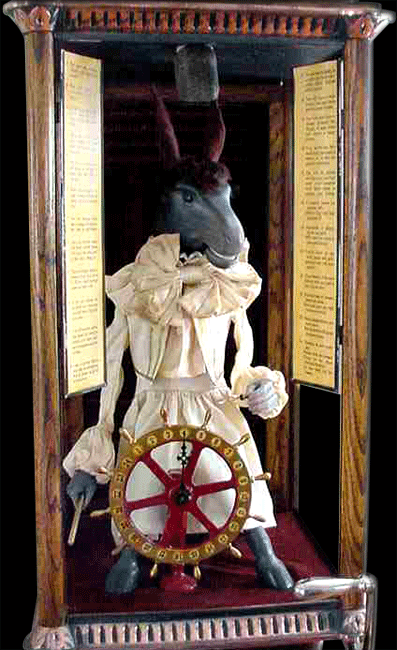 Donkey Wonder screenshot