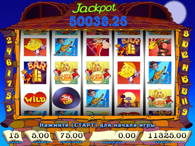 Cats Band screenshot