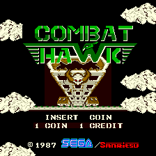 Combat Hawk screenshot
