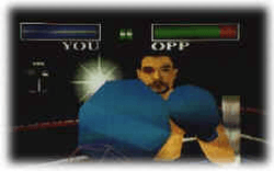 Virtuality Boxing Virtuality Boxing screenshot