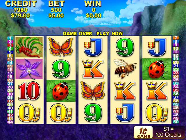 Wild Waratah screenshot