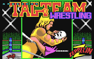 American Tag-Team Wrestling screenshot
