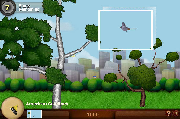 Snapshot Adventures - Secret of Bird Island screenshot
