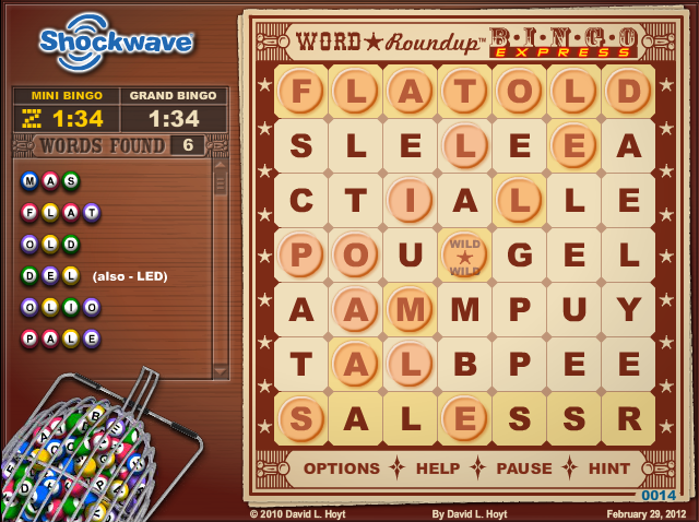 Word Roundup - Bingo Express screenshot