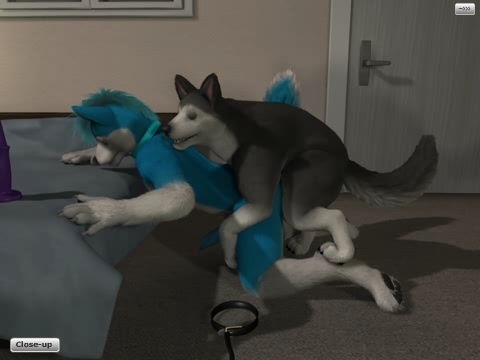 Blue Husky and Dog screenshot