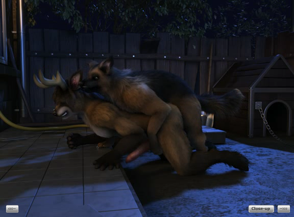 Comet and Dog screenshot