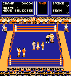 Tag Team Wrestling screenshot