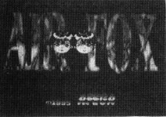 Air Fox screenshot
