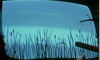 Qwak ! screenshot