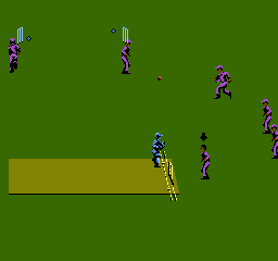 International Cricket [Model NES-CC-AUS] screenshot