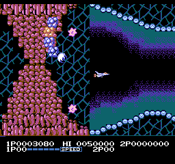 Life Force [Model NES-LF-USA] screenshot