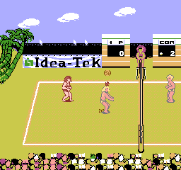 Venice Beach Volleyball screenshot