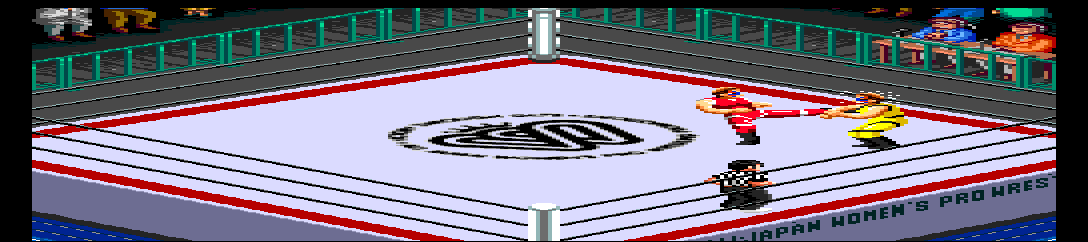 Wrestling Universe - Fire Pro Joshi - Dome Choujo Taisen - WOWOW vs. JWP [Model HMCD-4008] screenshot