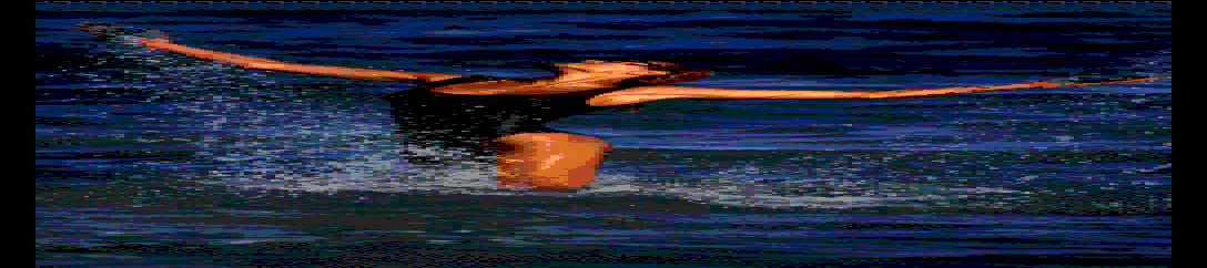 Bikini Girls screenshot