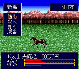 Jumpin' Derby [Model SHVC-AJUJ-JPN] screenshot