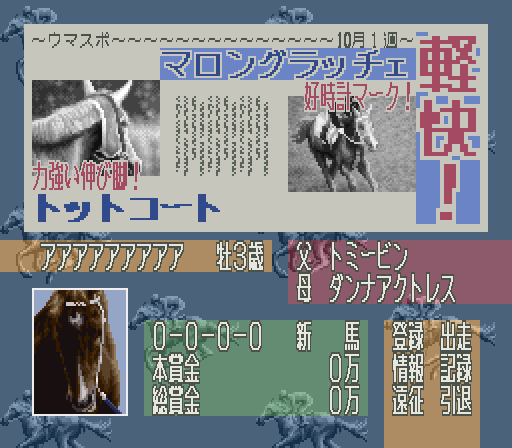 Leading Jockey [Model SHVC-L9] screenshot