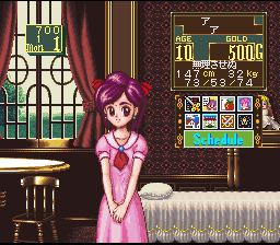 Princess Maker - Legend of Another World [Model SHVC-AOIJ-JPN] screenshot