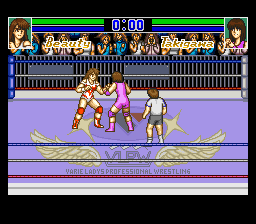 Stardust Suplex [Model SHVC-AVLJ-JPN] screenshot