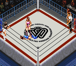 Super Fire Pro Wrestling - Queen's Special [Model SHVC-AQQJ-JPN] screenshot