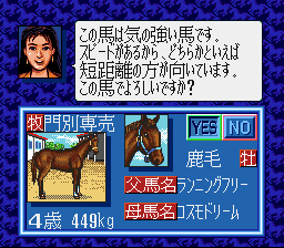 Winning Post [Model SHVC-WJ] screenshot