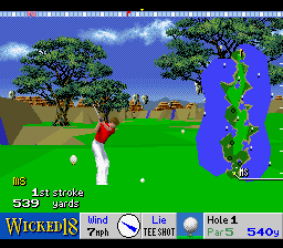 True Golf Classics - Wicked 18 [Model SNS-W8-USA] screenshot