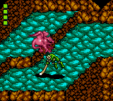 Battletoads [Model T-97018] screenshot