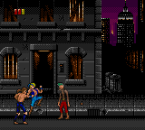 Double Dragon [Model T-70038] screenshot