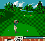 PGA Tour 96 [Model T-100078] screenshot