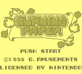 Burning Paper [Model DMG-GVA] screenshot
