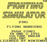 Fighting Simulator 2 in 1 Flying Warriors [Model DMG-HR-USA] screenshot